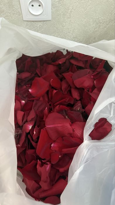 Лепестки розы свежие