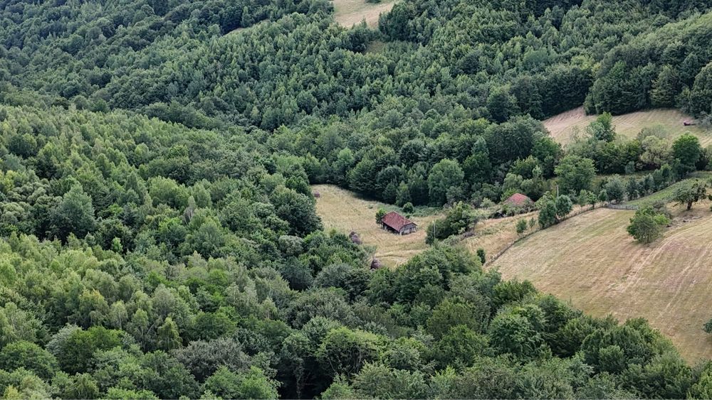 vand teren la munte Bulz Munteni 10.5 hectare