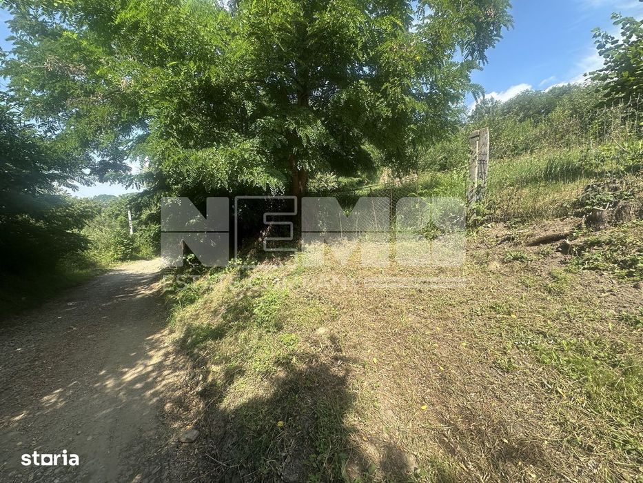 Teren Darmanesti | 41 Ari | 26.500EURO