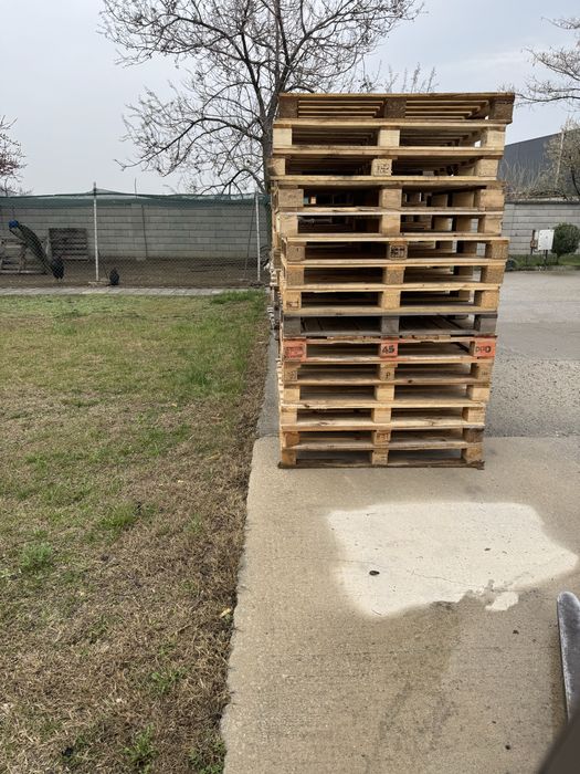 Палети 100/120  и 80/120