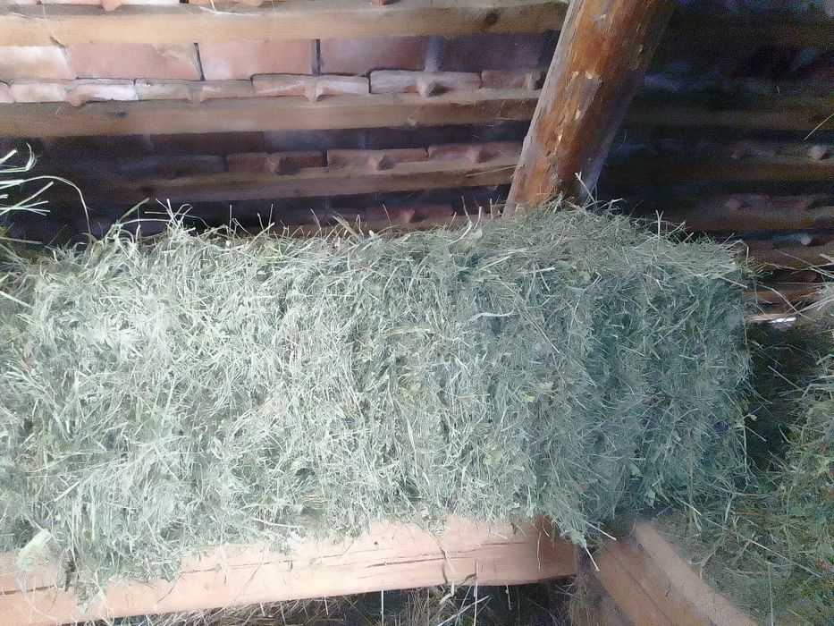 Vând baloți de otava