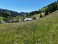 Teren de vanzare 9432 mp intravilan in Bucovina comuna Breaza