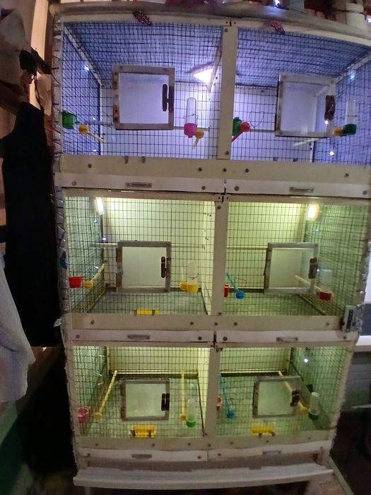 Клетка Валер  Капас кушла темрдон аценковкадан ясалгантемир ва аценков