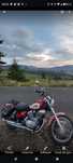Yamaha Virago XV250