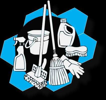 Servicii curatenie casa scarii