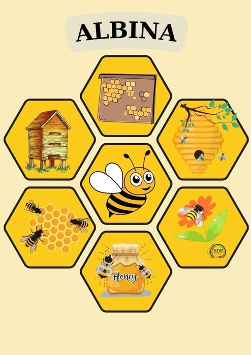Vand Roi albine cu matci selectionate