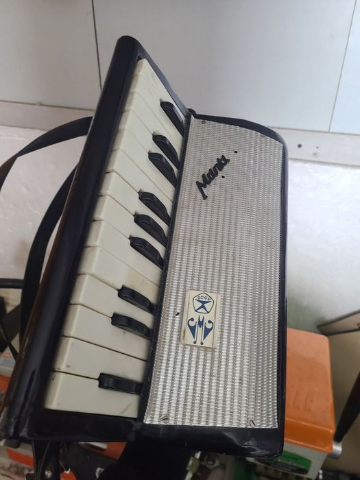 Гармошка СССР союз