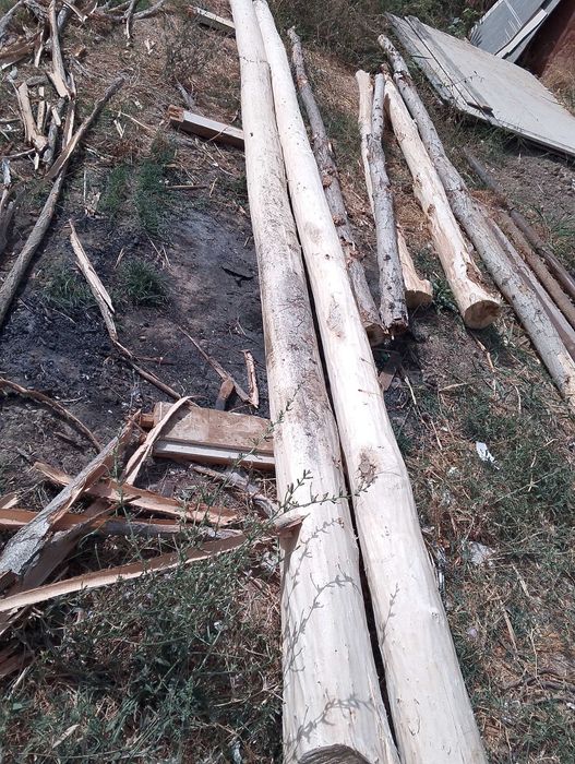 Yangi toʻsinla sotiladi Chirchiq da