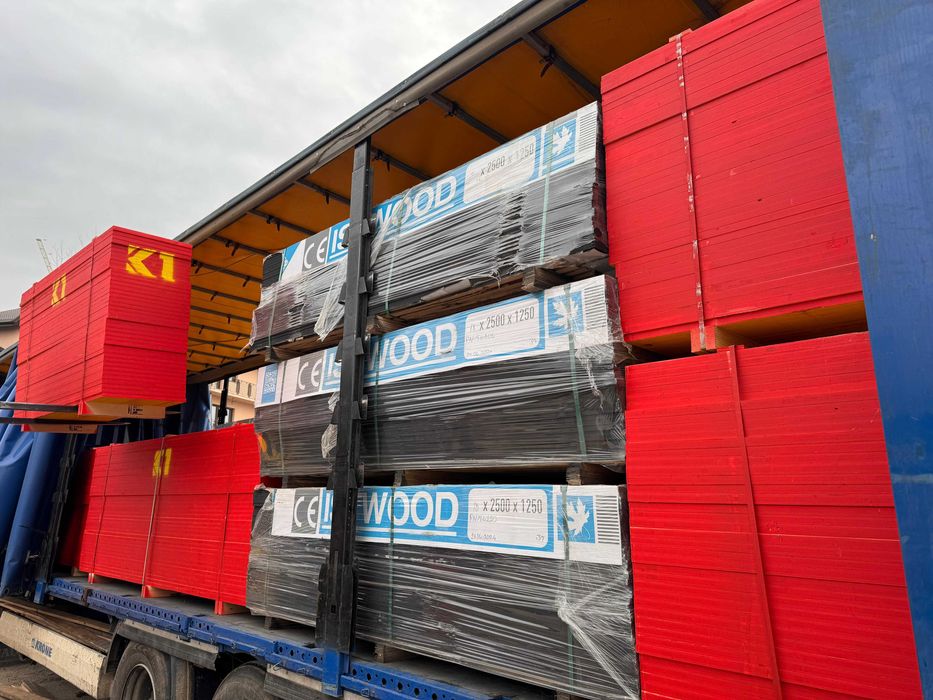 Placa galbena, tego, kaufmann k1