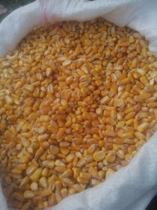 amestec și floare de vânzare