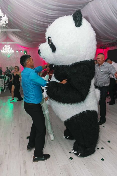 Ursuleți Dansatori Focuri