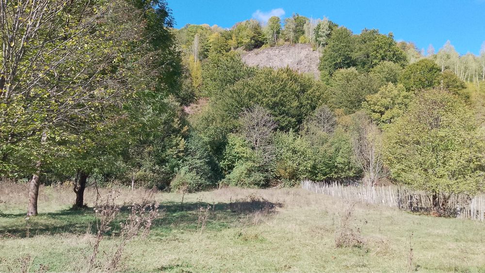 Vand teren in com. Malaia jud. valcea