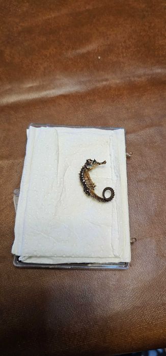 insectar calut de mare inpaiat