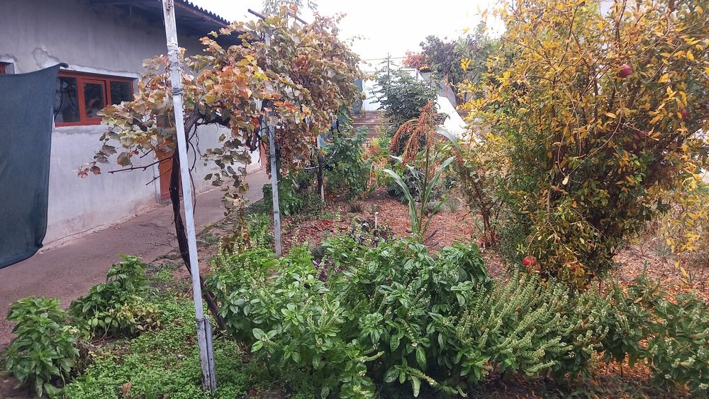 Продаётся дом, более 5.8 соток  со всеми условиями