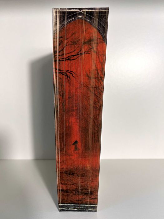 Един тъмен прозорец - Рейчъл Гилиг