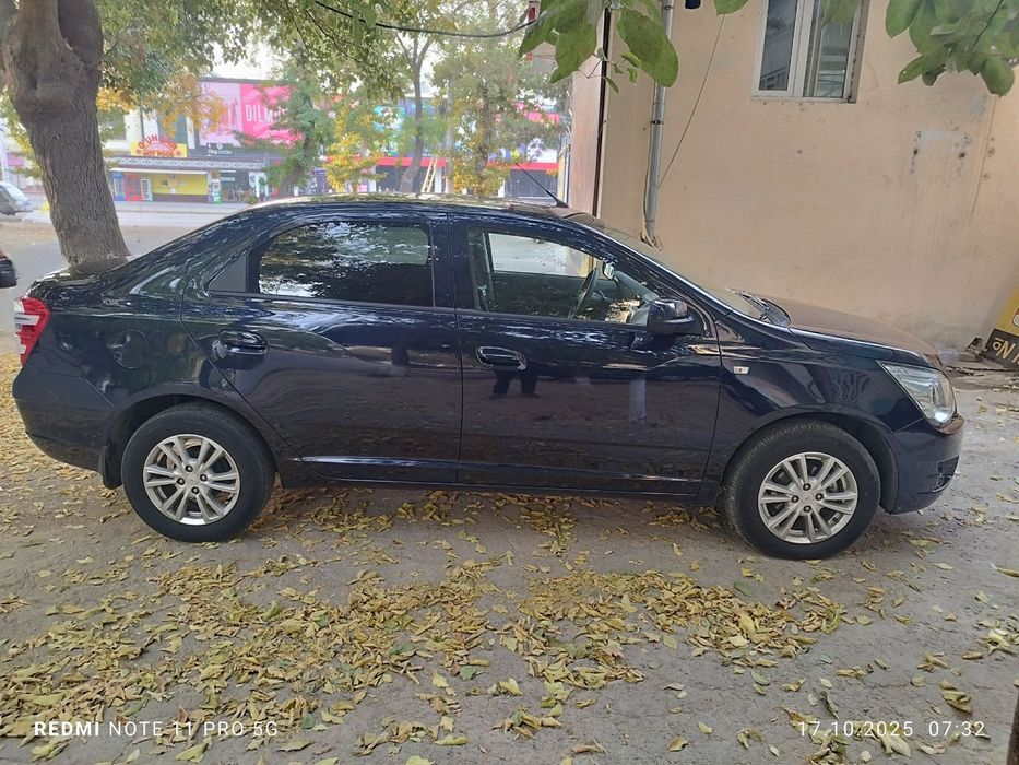 2023 краска тозза