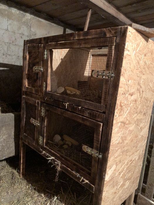 Cusca pentru iepuri