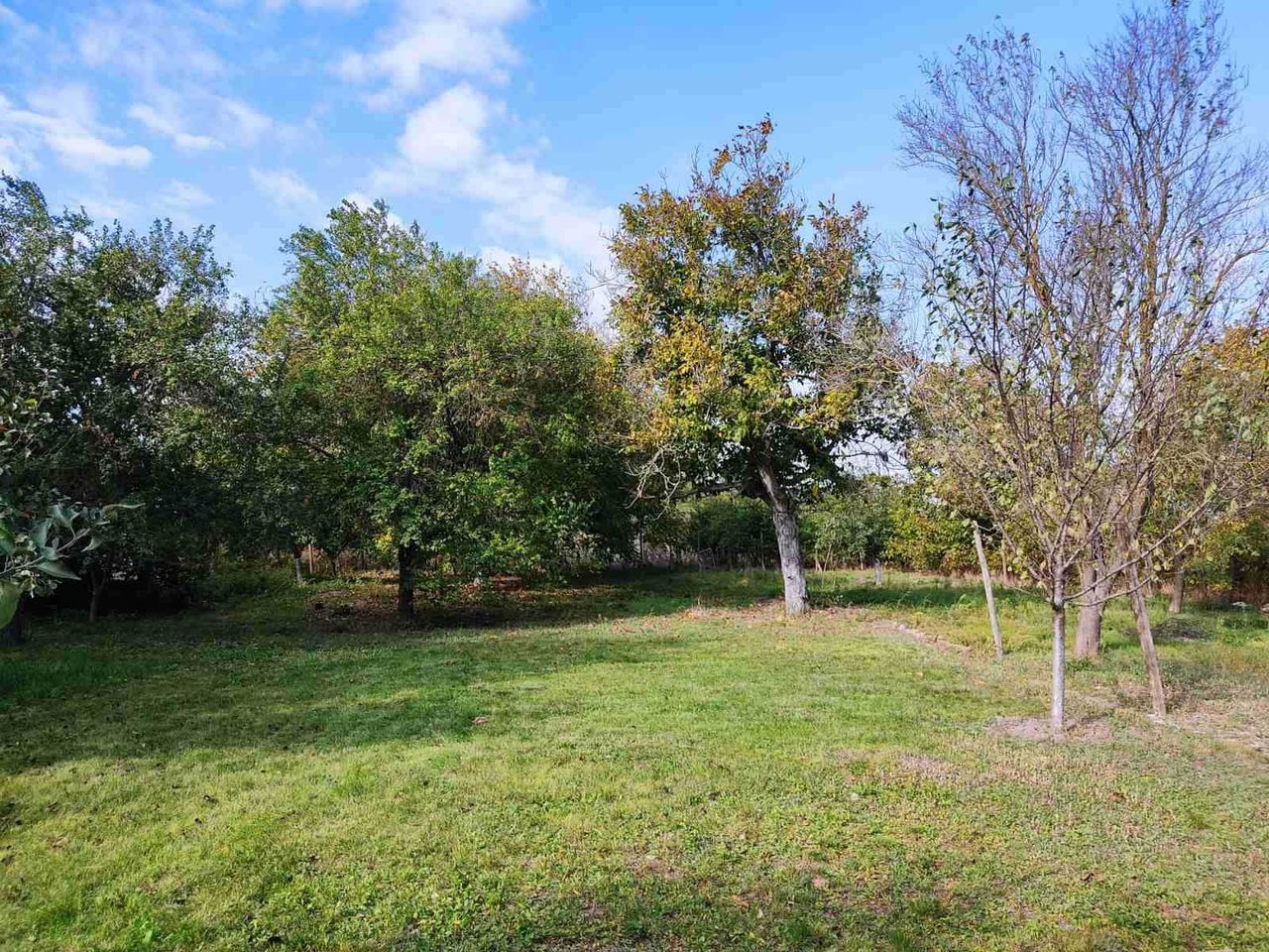 Продава се Къща в с. Спасово, Област Добрич - 90 кв.м за 328 €/кв.м - Снимка #12