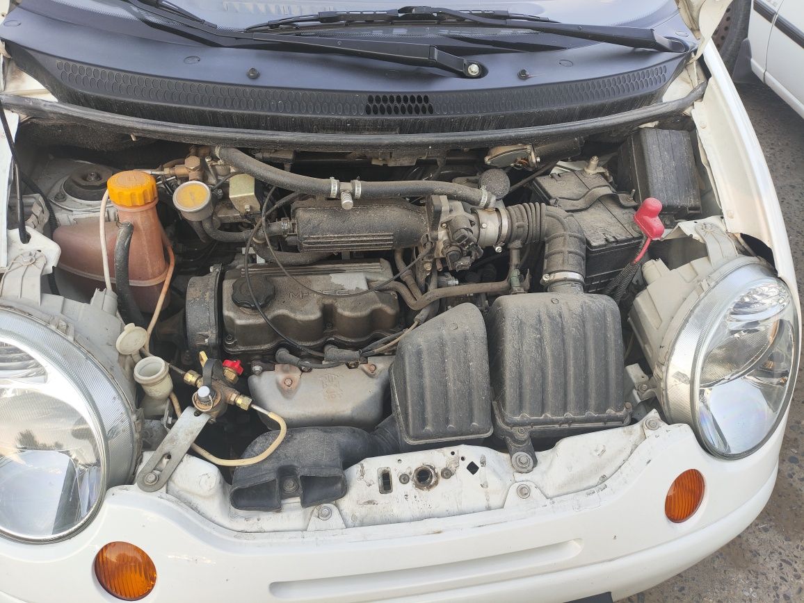 Oq matiz sotiladi