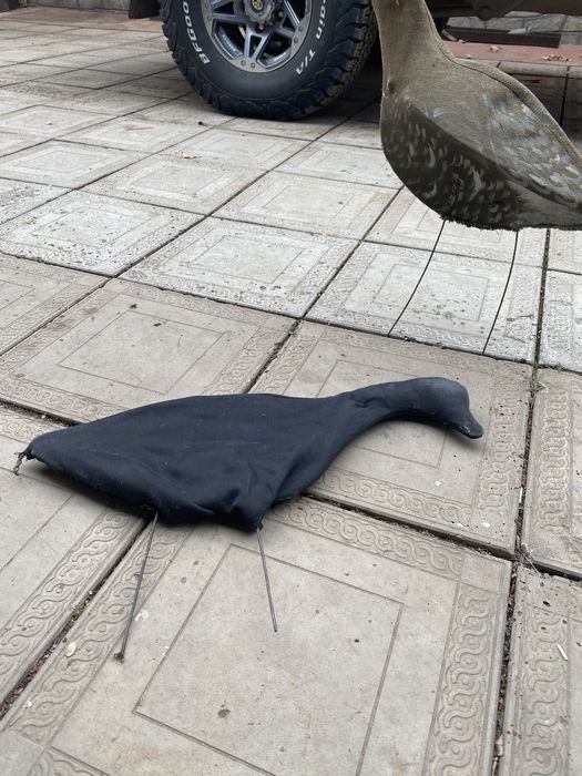 Профиля гусей