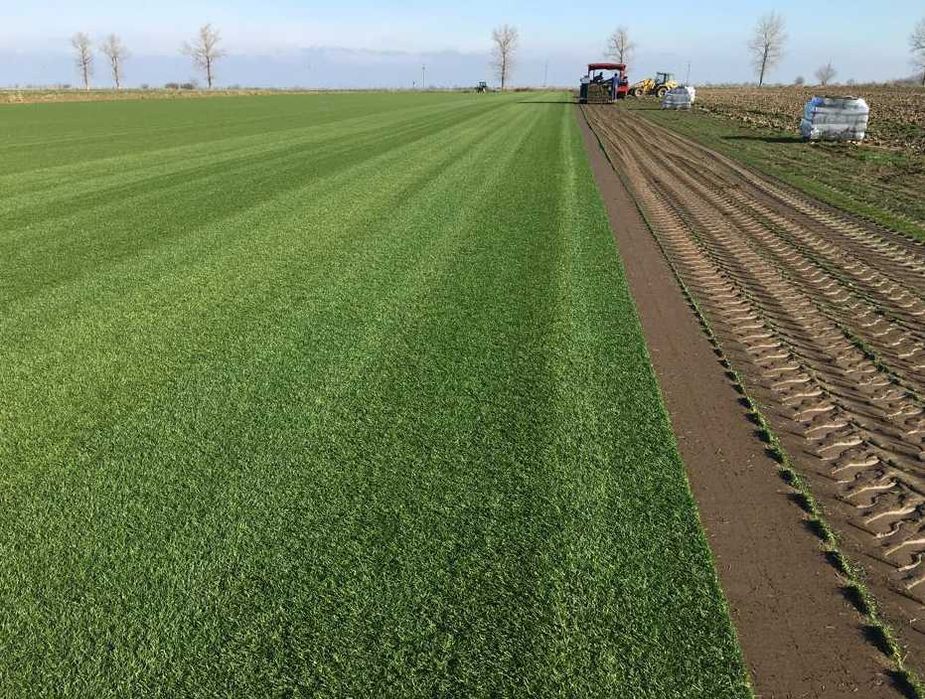 Gazon Rulou Sisteme de Irigare Profesionale Oriunde in tara