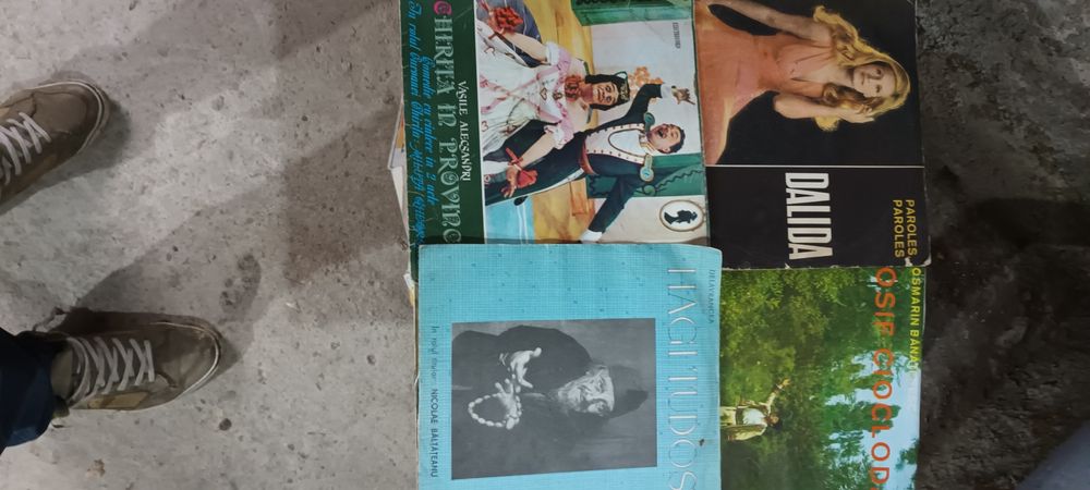 Discuri vinil de colecție