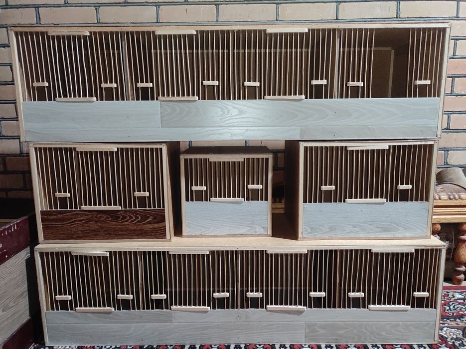 Italiya bedona makiyonlari uchun qafaslar sotiladi