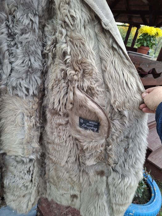 Cojoc alain delon dama