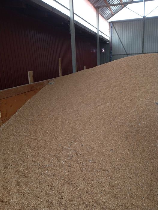 Vanzării Furaj Animale și Cereale