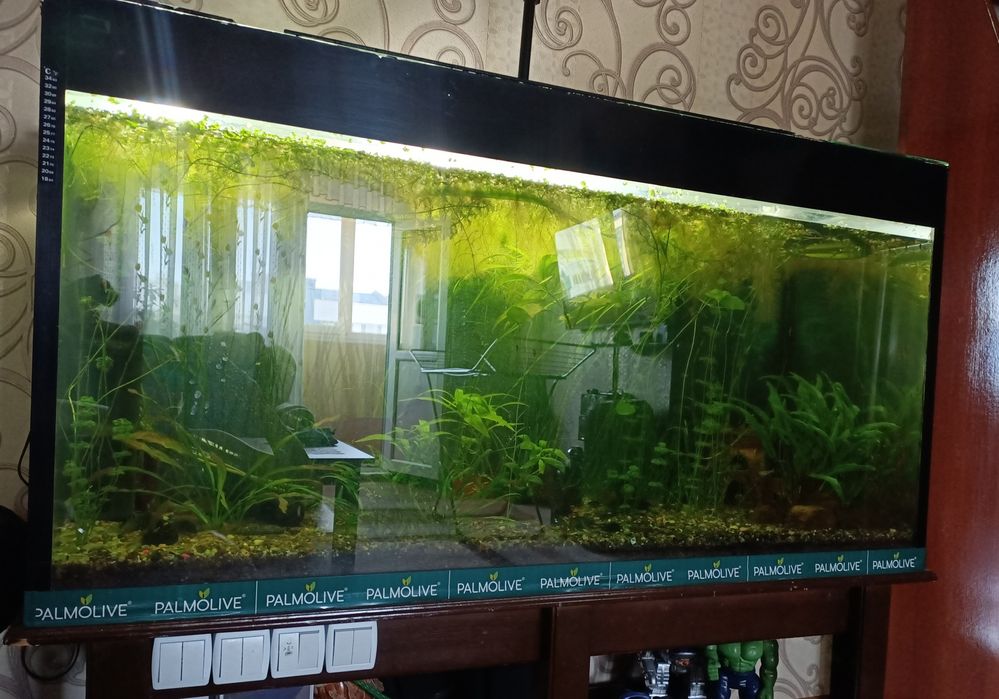Продам аквариум на 550 литров