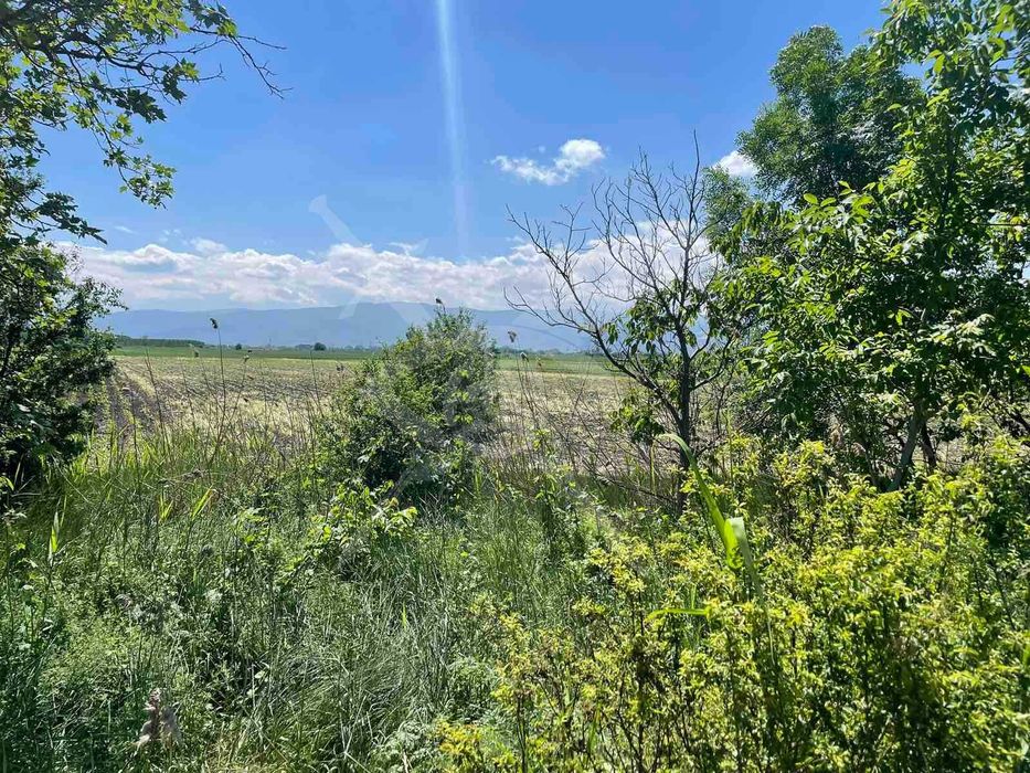 Продава се Земеделски имот в с. Ягодово, Област Пловдив -  кв.м за 10 €/дка - Снимка #1