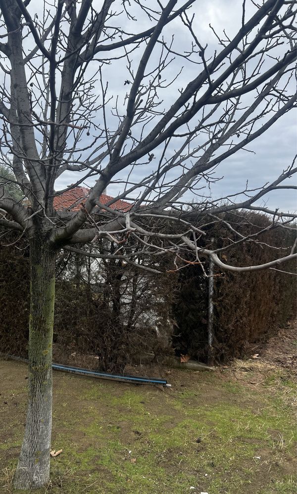 Парцел в регулация с виза скица за строеж директно от собственик