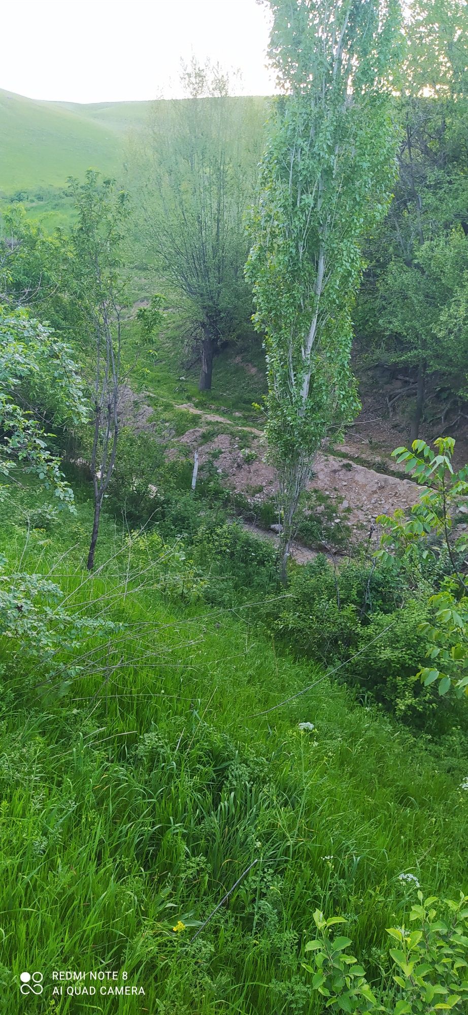 Ок тош Чимбойликда дачабоб жой