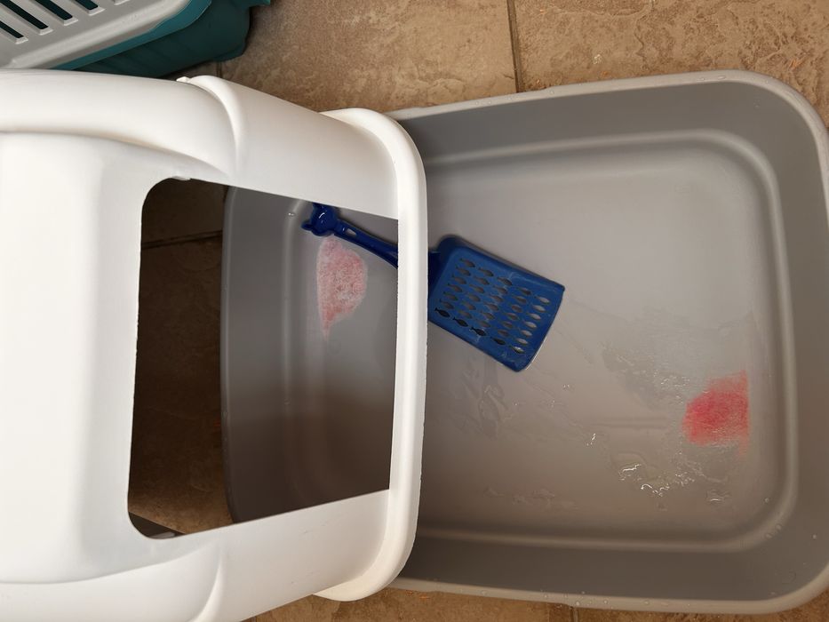 Letiera pisici plus lopetica si tofu lavanda