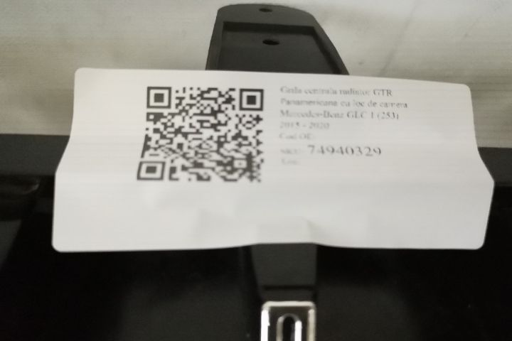 Централна решетка на радиатора GTR Панамериканска с място за камера Ме