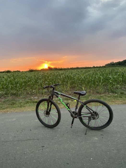 Vând bicicleta carpat