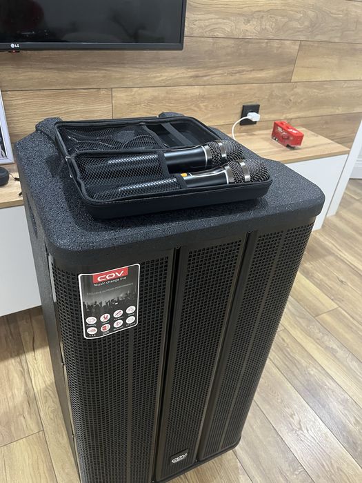 Аренда, прокат караоке колонка COW