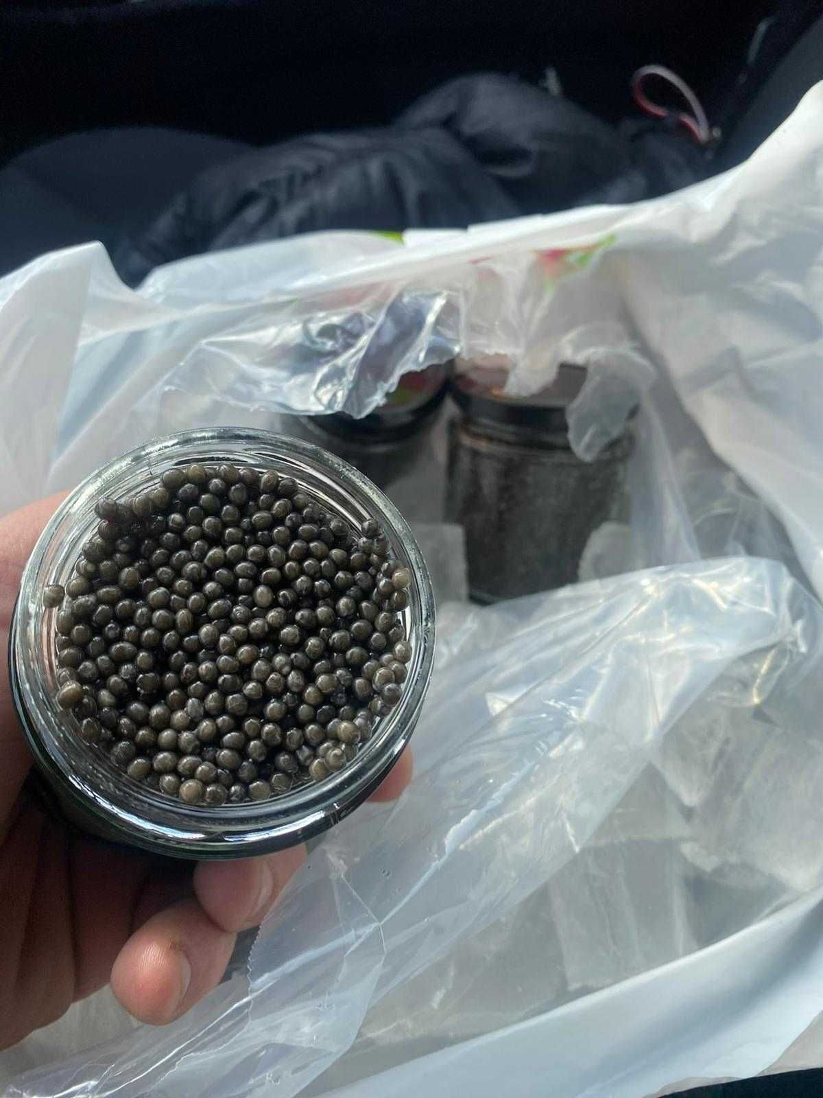 Icre negre caviar proaspete oferta