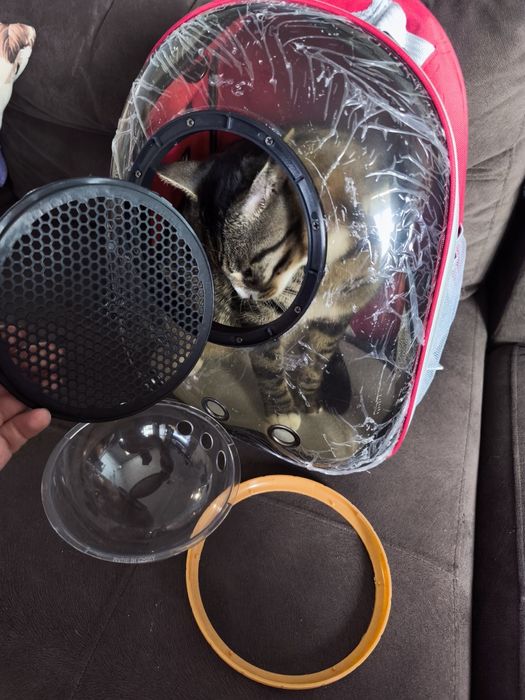 Чанта за домашен любимец