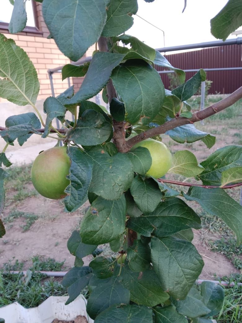 Продам новый дом