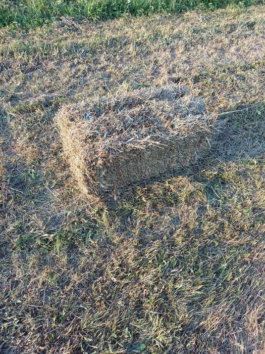 Baloti de otava de fan