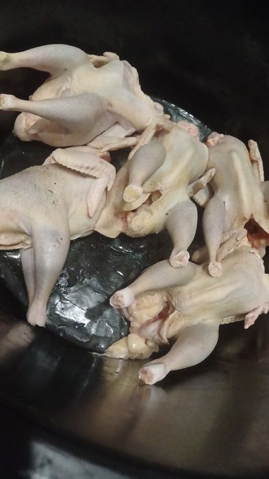 Домашние бульонные куры курица  мясо