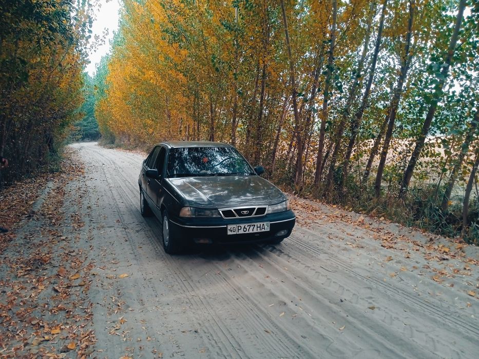 Нексия сонс трамбулор