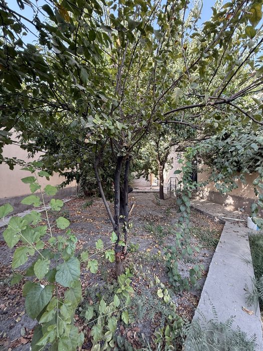 Продаётся дом 6 соток Заковат, Алишеробод, Мирзо Улугбекский район.