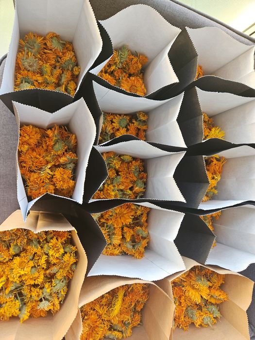 Vând 800 grame flori uscate de galbenele(Calendula officinalis)