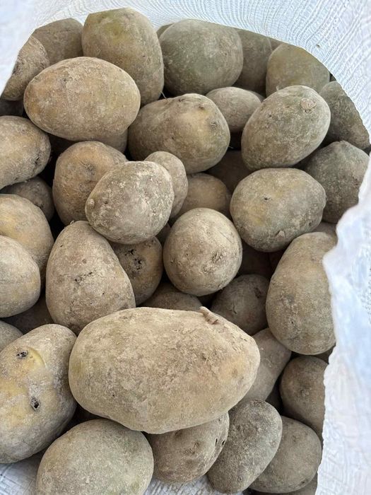 Cartofi animale si consum