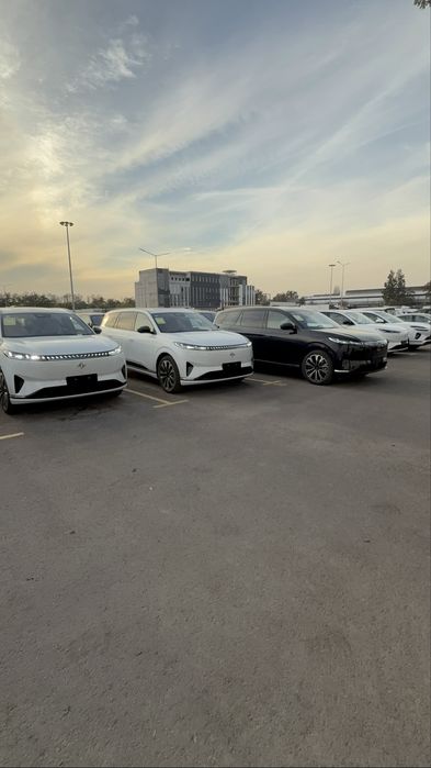 Dongfeng EP008 hybrid rest 6 sidenyali kapitanskiy