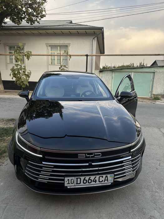 Byd Chazor (1позиция)