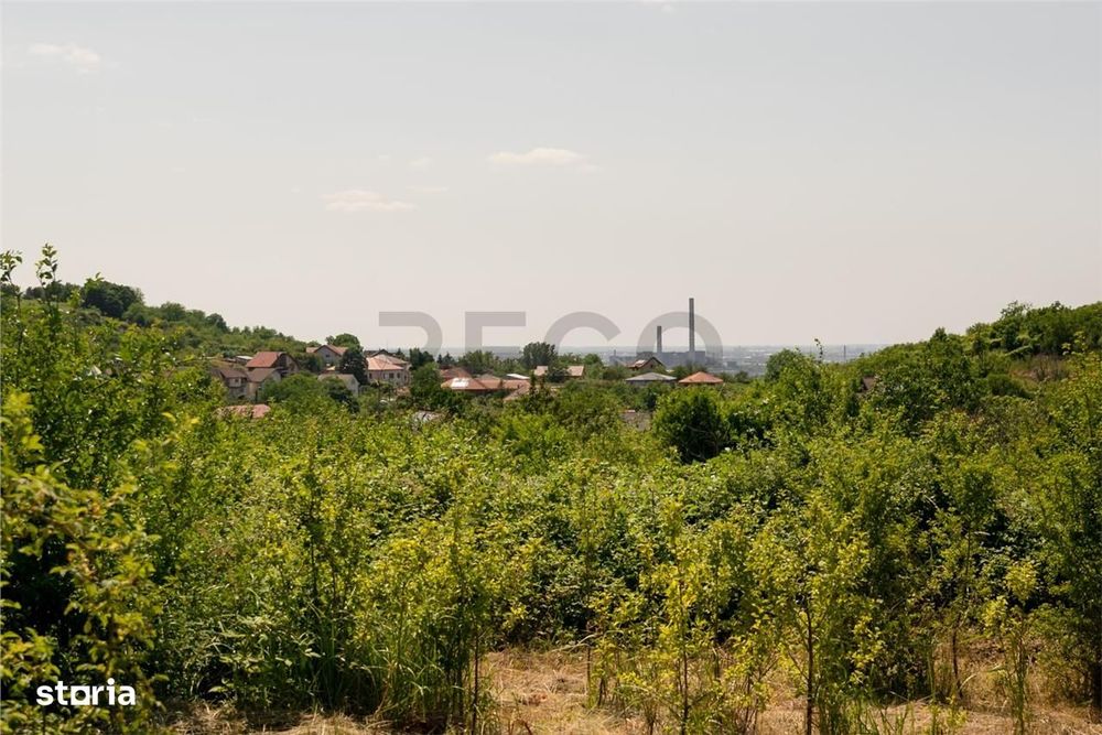 RECO Teren intravilan 1200 mp- front  30ml ,cu utilitati, Paleu