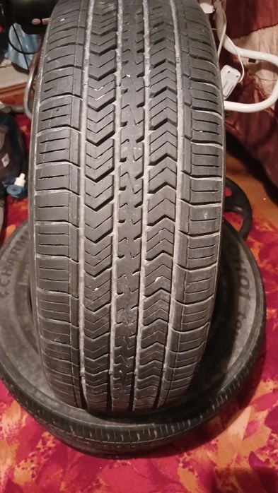 Charomhoo balonlar 13razmer  175/70